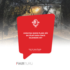 Ukrayna barış planı: Biz bu filmi daha önce izlemedik mi?