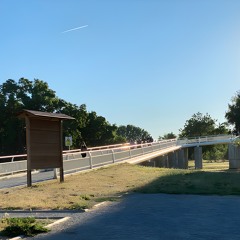 LF - Especies Introducidas