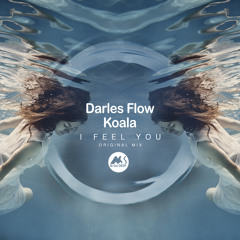 Darles Flow, Koala - I Feel You [M-Sol DEEP]