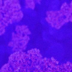 Slow.Down.Stop.Listen