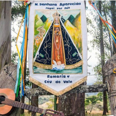 Santa Padroeira - Walter Dias