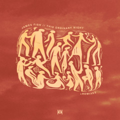 James Fish - This Ordinary Night (Acid Pauli Remix)