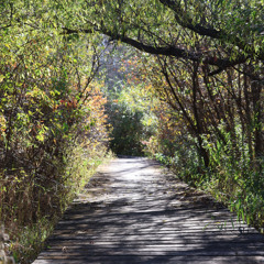 Audio Postcard - Nature Trails