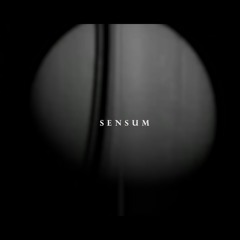 SENSUM - Roche Limit