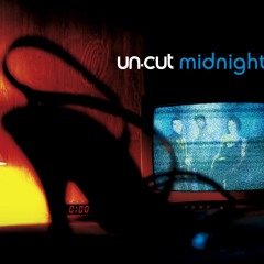 MIDNIGHT (M.I.S.T. V.I.P. REMIX)