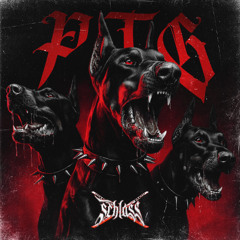 SCHLASS - Pose Ton Gun (Bollmann Master) FREE DL