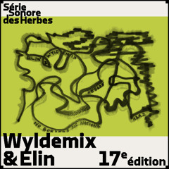 17e édition w/Wyldemix & Elin