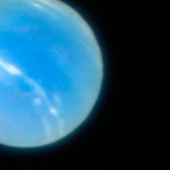 NEPTUNO - Macana FT Tiko