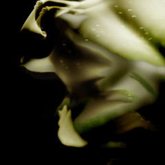 House & Techno REMIX