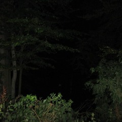 Mix to listen to in the middle of the night #1