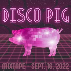 The Disco Pig Mixtape