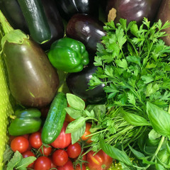 tdJams ... 12th:0ct:25 2-BS jams Oct 12th ... _)