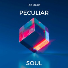Peculiar Soul - Leddy Marie