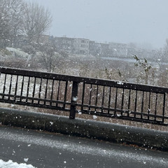 3333(falling asleep.)