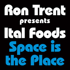 Space Is the Place (Dubbin' Version)