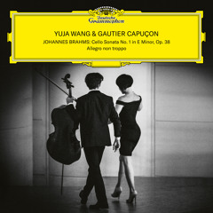 Brahms: Cello Sonata No. 1 in E Minor, Op. 38 - I. Allegro non troppo