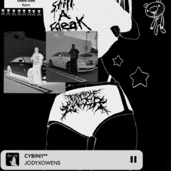 CYBIN!*