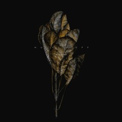 Crucible Pak + Feb '23