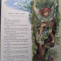 When I Was A Bird