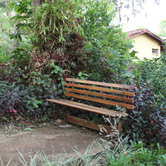 24.09.2025 - Cap. XXIV - Não Coloqueis a Candeia Sob o Alqueire (3)