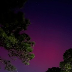 XLEON- PRESENT/ SLOWED ( Vacations TELEPHONE BEAT)
