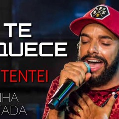 Unha Pintada - te esquecer eu tentei