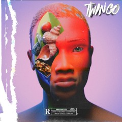 Norman & Soulman - Twingo