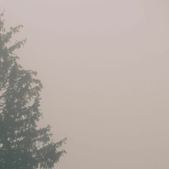 SOMETHING IN THE AIR