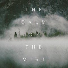 The Calm of the Mist
