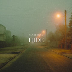Hide