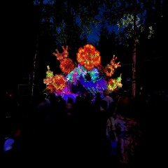 Biomass - Spacetime Stage - Kosmos Festival, Finland 2024