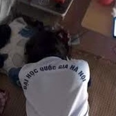 Good music, no "đập ngu"