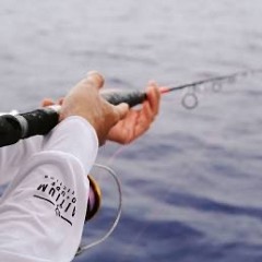 Cast a line