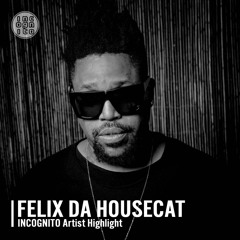 INCOGNITO Artist Highlight: FELIX DA HOUSECAT