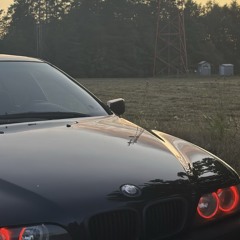 Deniss, Silraq, Sudrabu Sirds - PASĒDĒT