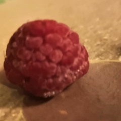 raspberry