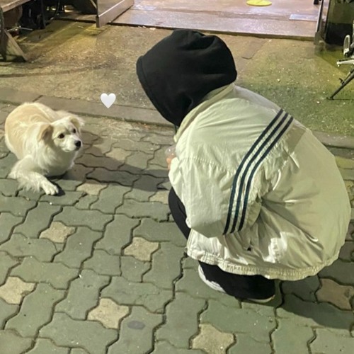 발걸음 demo