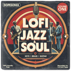 LoFi Jazz & Soul Vol 01 [100 Vinyl Style Loops]