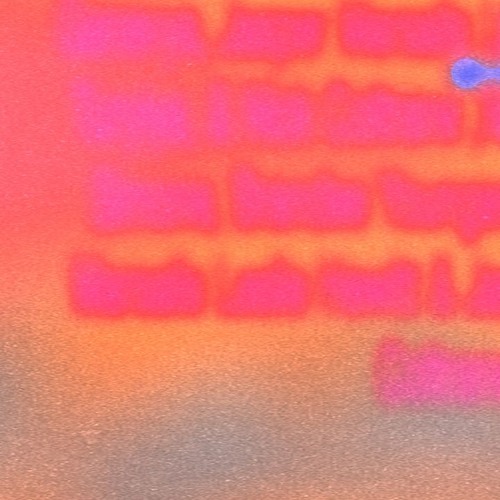 Alice Coltrane Special: ganavya 090225