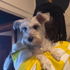 Im a cool cat 2 (wizzard)