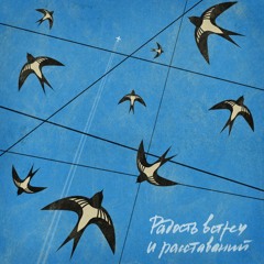 25/17 — Одуванчик