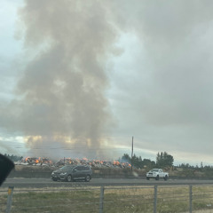 book of love (cover)