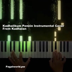 Kadhalikum Pennin Instrumental Cover (Pagalworld.pw)