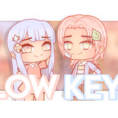Lowkey - Meme (I DO NOT OWN THIS AUDIO!)