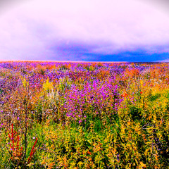 Be made voide - or tonges shal cease