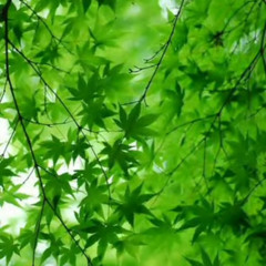 အဝေးမသွားနဲ့အချစ်ရယ် GarageBand version