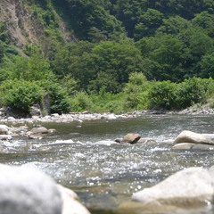 Tonegawa Summer Drift