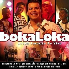 Maçã do Amor ( Boka Loka )