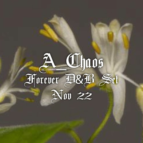 A_Chaos - Forever D&B - @ZoZoo Bar - 16/11/22 (Liquid, Jungle, Deep)