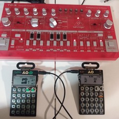 Td-3, Po-33, Po-12 - Pear Sunset